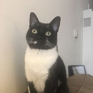 Meet your Posher, Erica